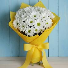 Букет цветов из:  Хризантемы #REPLACE_PRED# Теткино