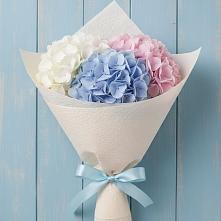 Букет цветов из:  Гортензия в Теткино