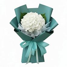 Букет цветов из:  Гортензия в Теткино